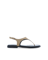 IVONE - BISCUIT SUEDE