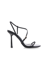 PASCOE - BLACK SHINE