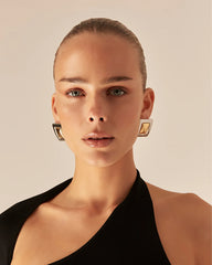 ROAMLEE EARRINGS - SILVER-GOLD