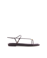 WENDA - CHOCOLATE SHINE